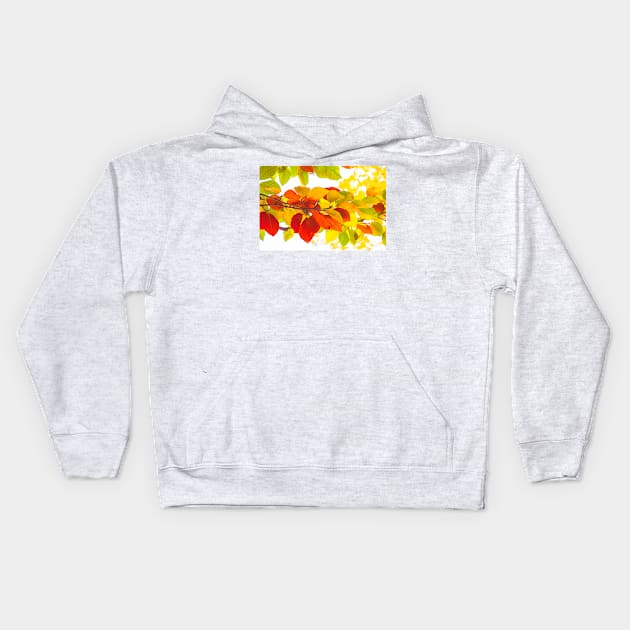 Colourful leaves on a white background Kids Hoodie by Design A Studios